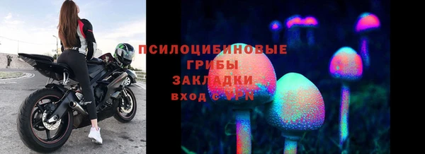 ECSTASY Алзамай