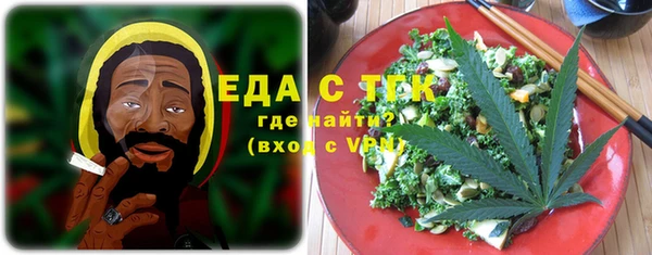 ECSTASY Алзамай